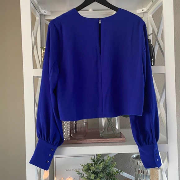 Babaton Parsons blouse sz L - Picture 2 of 6